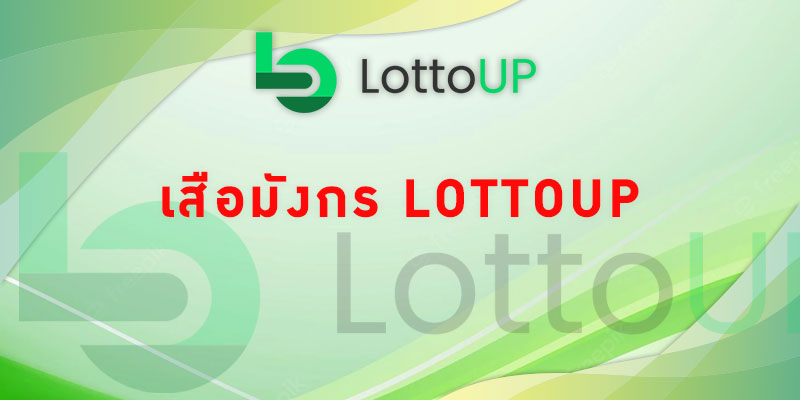 เสือมังกร lottoup